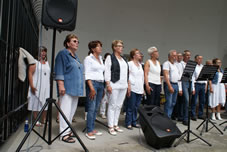 Uitvoering 2014 Muziektuin (56).jpg